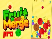 Fruit Merge Pro Online puzzle Games on NaptechGames.com