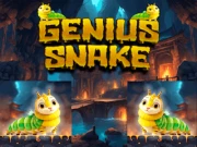 Genius Snake Online snake Games on NaptechGames.com
