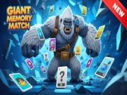 Giant Memory Match Online memory Games on NaptechGames.com