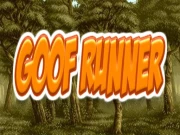 Goof Runner Online Hypercasual Games on NaptechGames.com