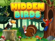 Hidden Birds Online Puzzle Games on NaptechGames.com