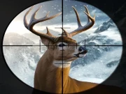 Hunter 3d Online Shooting Games on NaptechGames.com