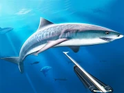 Hunting underwater spearfishing Online Simulation Games on NaptechGames.com