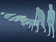 Idle Evolution From Cell to Human Online Adventure Games on NaptechGames.com