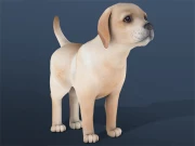 IDLE Pet Online Simulation Games on NaptechGames.com