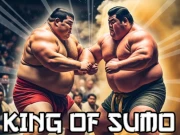 King Of Sumo Online Sports Games on NaptechGames.com