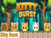 Kitty Burst Online cats Games on NaptechGames.com