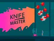 Knife Master Arcade Online arcade Games on NaptechGames.com