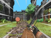 Legendary Archer Online Shooting Games on NaptechGames.com