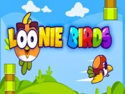 Loonie Birds Online casual Games on NaptechGames.com