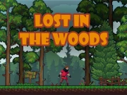 Lost in the Woods Online Arcade Games on NaptechGames.com