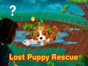 Lost Puppy Rescue and Care Online animal Games on NaptechGames.com