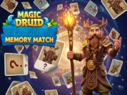 Magic Druid Memory Match Online memory Games on NaptechGames.com
