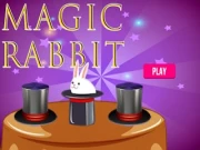 Magic Rabbit Online memory Games on NaptechGames.com