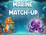 Marine Match Up Online Puzzle Games on NaptechGames.com