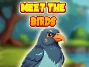 Meet The Birds Online Baby Hazel Games on NaptechGames.com