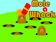 Mole a Whack Online animal Games on NaptechGames.com