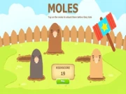 Moles Online tap Games on NaptechGames.com
