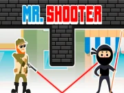 Mr Shooter Online Shooting Games on NaptechGames.com