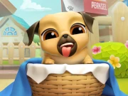 My Cute Puppy Grooming 3D Online Girls Games on NaptechGames.com