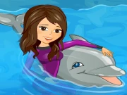 My Dolphin Show 1 HTML5 Online Agility Games on NaptechGames.com