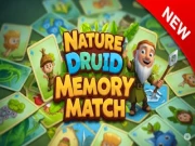 Nature Druid Memory Match Online memory Games on NaptechGames.com