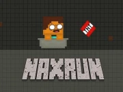 NaxRun Online Arcade Games on NaptechGames.com