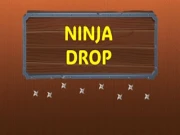 Ninja Drop Online casual Games on NaptechGames.com