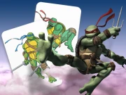Ninja Turtles Online Puzzle Games on NaptechGames.com