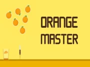 Orange Master Online arcade Games on NaptechGames.com