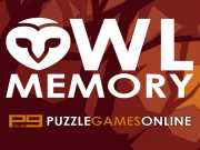 Owl Memory Online Puzzle Games on NaptechGames.com