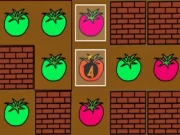 Paint Tomato Online puzzle Games on NaptechGames.com