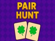 Pair Hunt Online memory Games on NaptechGames.com