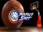 Perfect Shot Online basketball Games on NaptechGames.com
