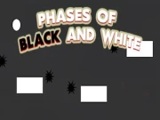 Phases of Black and White Online casual Games on NaptechGames.com
