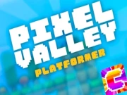 Pixel Valley Online platformer Games on NaptechGames.com
