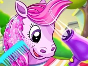 Pony Pet Salon Online Hypercasual Games on NaptechGames.com