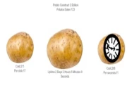 Potato Construct 2 Edition Online clicker Games on NaptechGames.com
