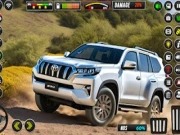 Prado Car Driving Online car Games on NaptechGames.com