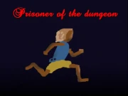 Prisoner of the dungeon Online Hypercasual Games on NaptechGames.com