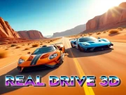 Real Drive 3D Online Casual Games on NaptechGames.com