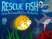 Rescue Fish Online Casual Games on NaptechGames.com