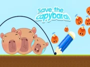 Save the Capybara Online casual Games on NaptechGames.com