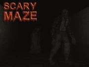 Scary Maze 3D Online Shooting Games on NaptechGames.com