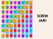 Screw Jam Online puzzle Games on NaptechGames.com