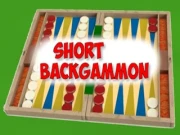 Short Backgammon Online board Games on NaptechGames.com