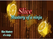 Slice Mastery of a Ninja Online casual Games on NaptechGames.com