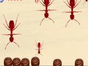 Smash All Ants Online Adventure Games on NaptechGames.com