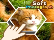 Sort Photograph Online Art Games on NaptechGames.com