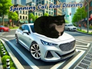 Spinning Cat Real Driving Online driving Games on NaptechGames.com